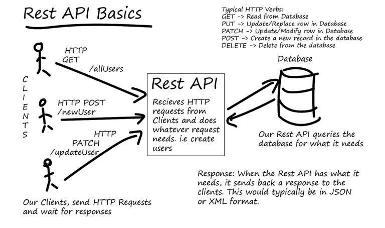 yuk-belajar-cara-membuat-api-test-automation-framework-python-bagian-1